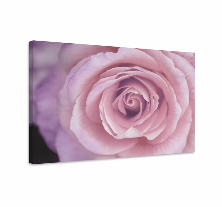 Rosa blomsterdetaljer blomst lerretsbilde - Tenstickers