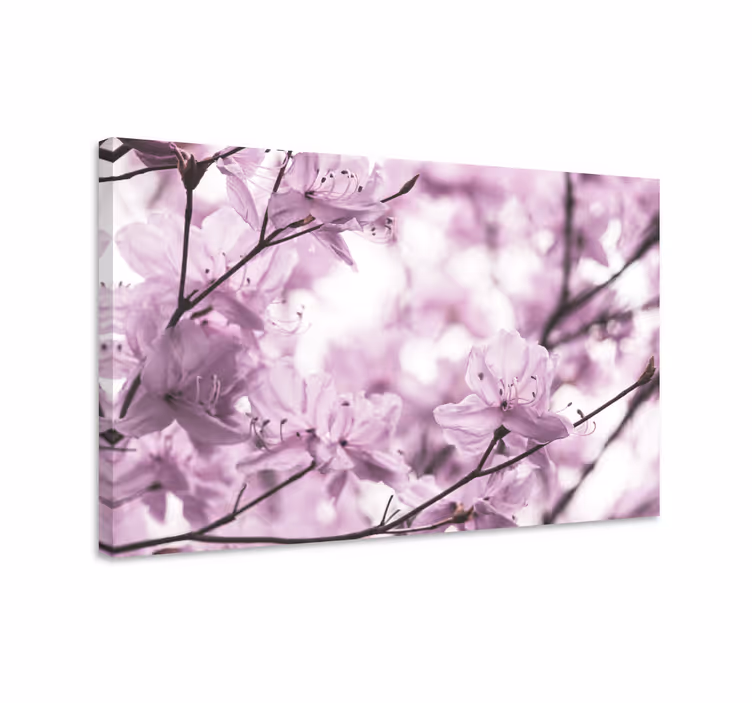 Blomst lerretsbilde delikate blomsterblomster - Tenstickers