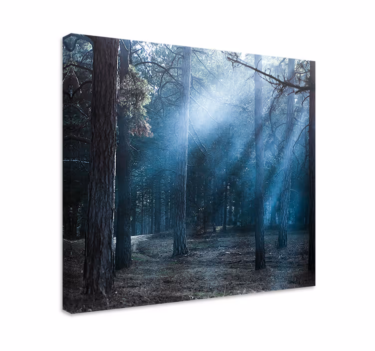 Hazy woodland trail landskaps lerretsbilde - Tenstickers