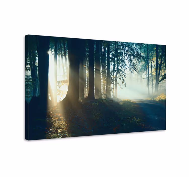 Misty woodland trail landskaps lerretsbilde - Tenstickers