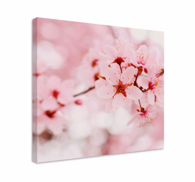Rosa blomst fotografi kunst lerretsbilde blomster - Tenstickers