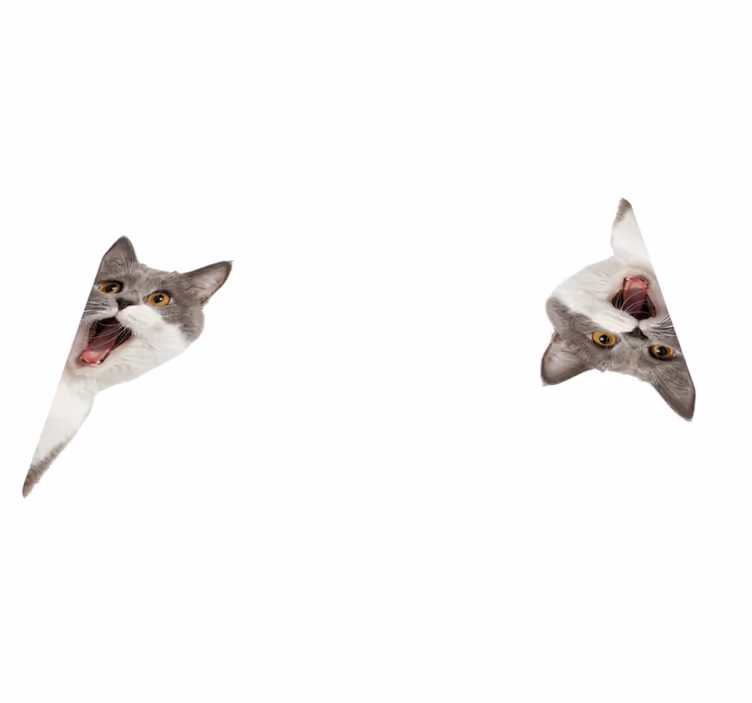 Vinyl teppe dyr katt som sniker seg på hvit bakgrunn - Tenstickers