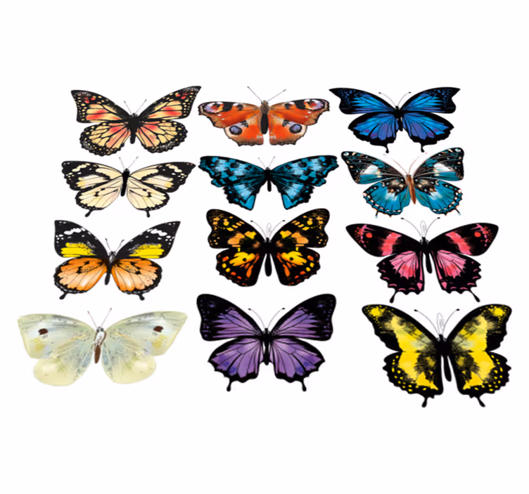 Vinyl teppe dyr sommerfuglillustrasjon - Tenstickers