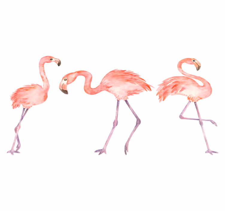Vinyl teppe dyr elegant flamingo trio - Tenstickers