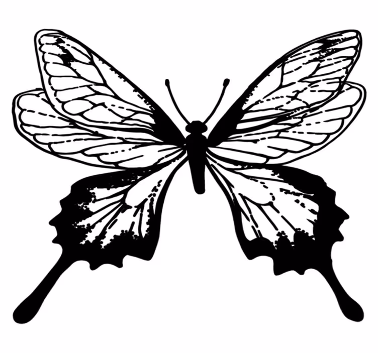 Vinyl teppe dyr elegant sommerfugl omriss - Tenstickers