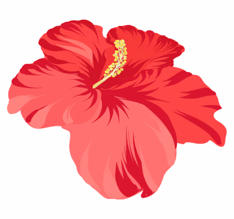 Vinyl teppe blomster og planter rød hibiscus sett - Tenstickers