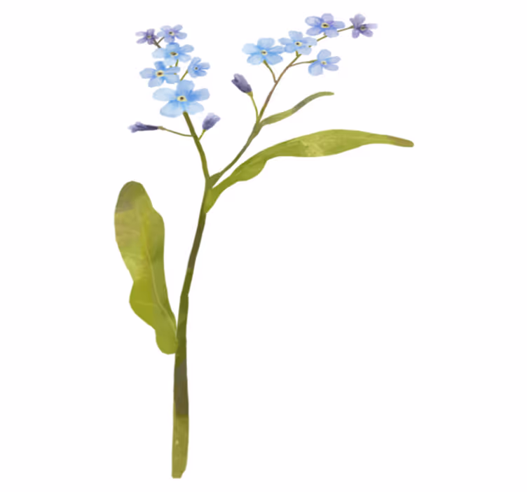 Vinyl teppe blomster og planter i blått design - Tenstickers