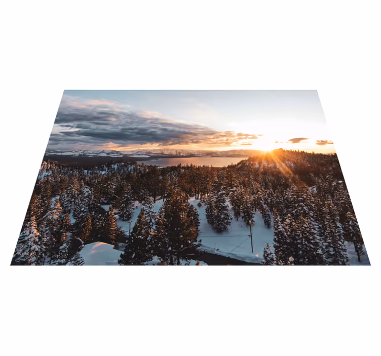 Vinyl teppe natur frodig skoglandskap - Tenstickers