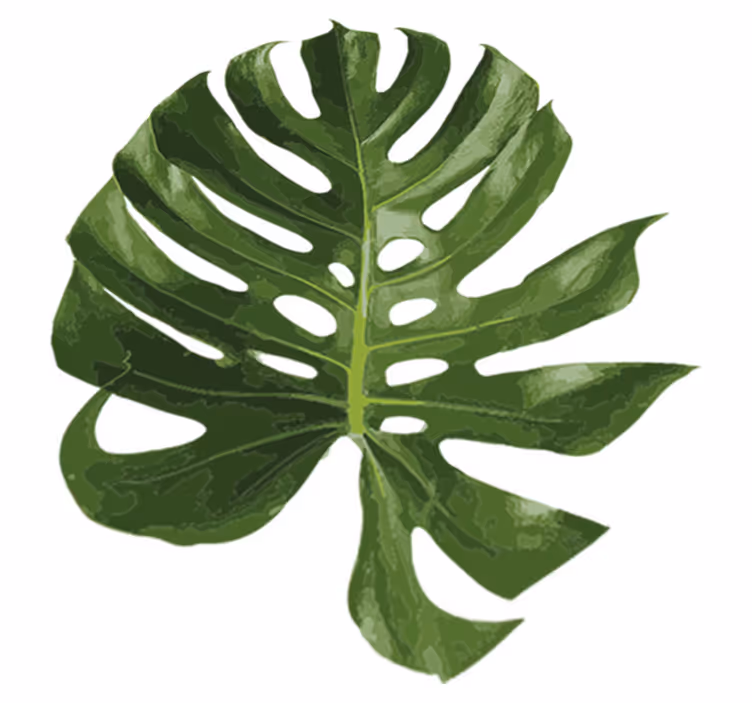Delikate monstera blader vinyl teppe blomster og planter - Tenstickers