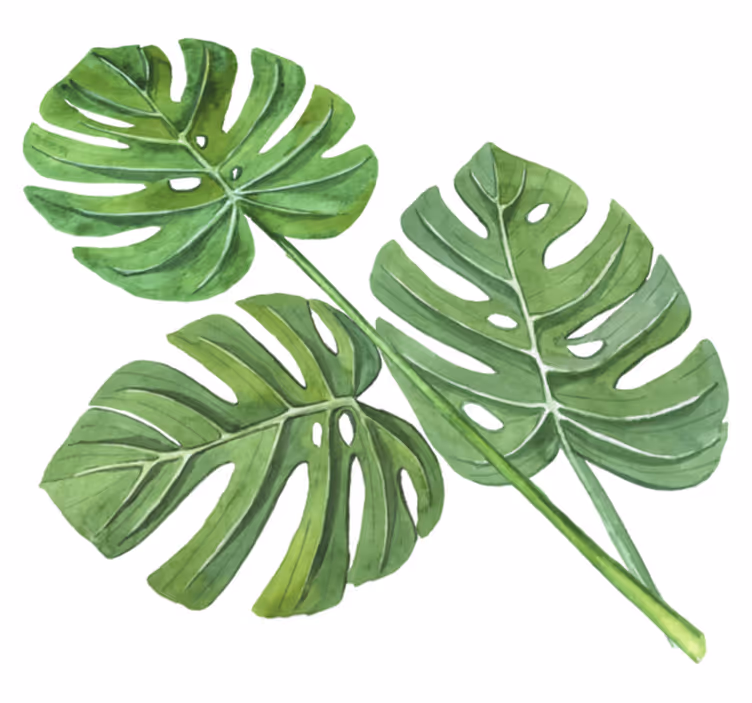 Vinyl teppe blomster og planter monstera akvarell blader - Tenstickers