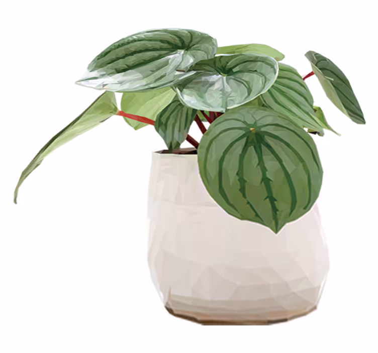 Vinyl teppe blomster og planter enkel hjemmplante - Tenstickers