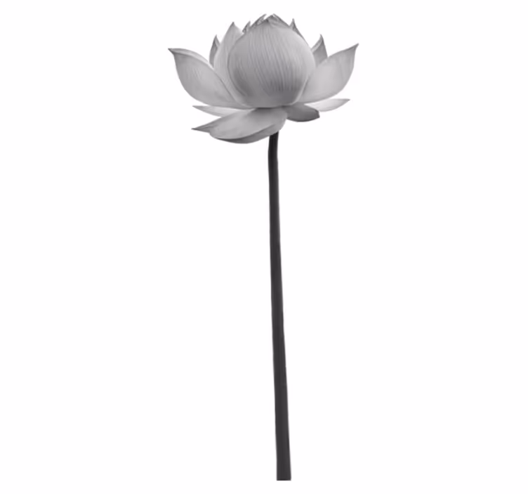 Vinyl teppe soverom lotus ensom blomst - Tenstickers