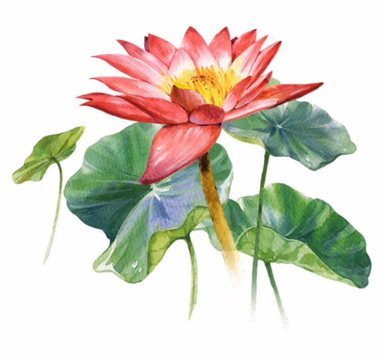 Lotus akvarell illusjon vinyl teppe soverom - Tenstickers