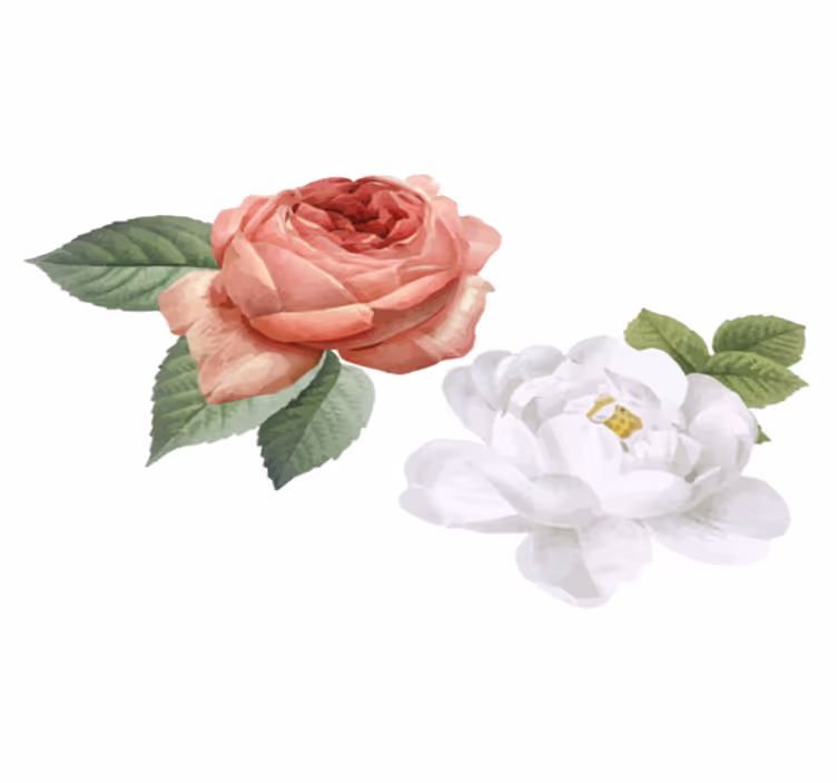 Vinyl teppe soverom hvite og rosa roser - Tenstickers