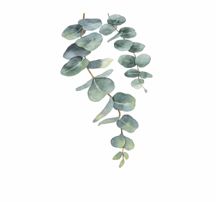 Vinyl teppe blomster og planter eukalyptuskvister - Tenstickers