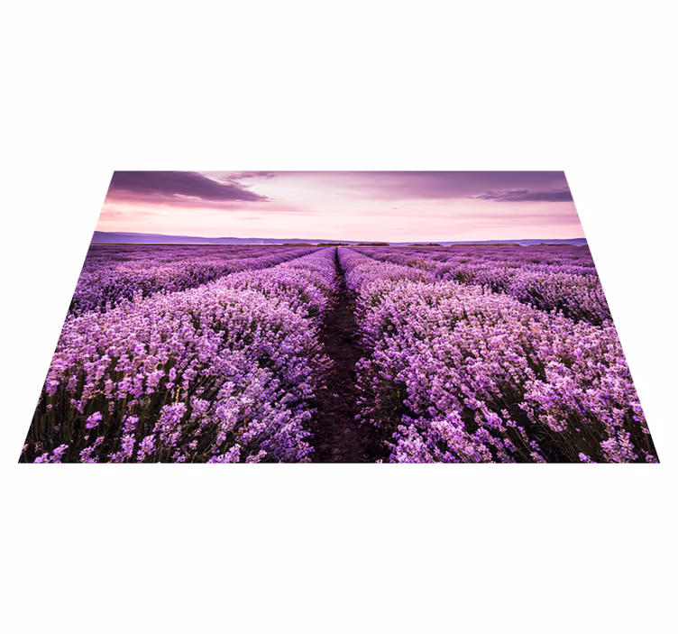 Vinyl teppe lilla lavendelblomster i provence - Tenstickers