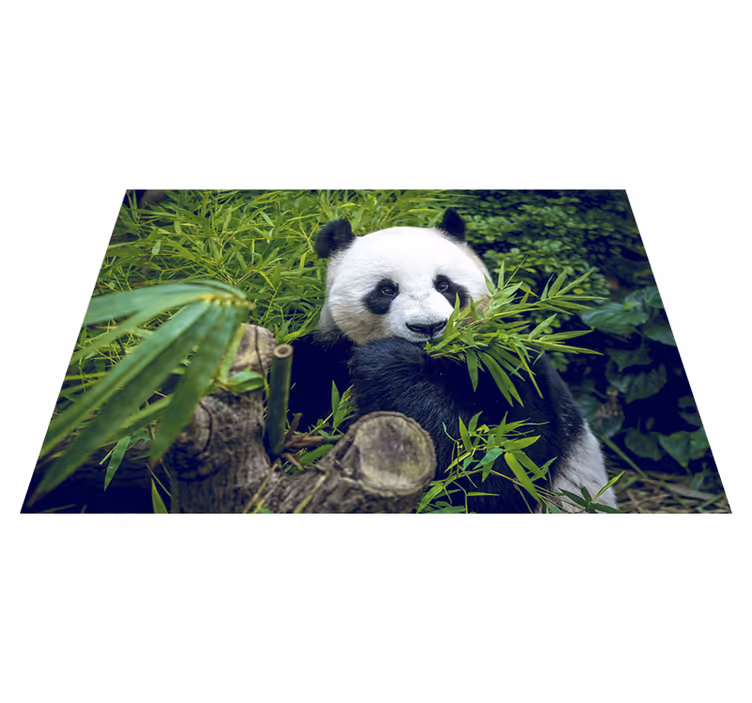 Vinyl teppe grønn panda søt - Tenstickers