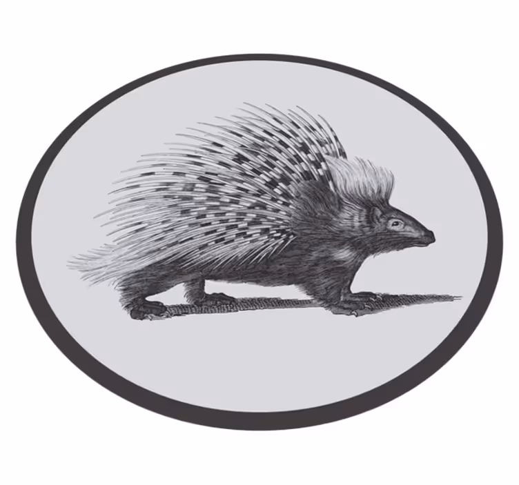 Piggsvin kunst svart og hvitt vinylteppe - Tenstickers