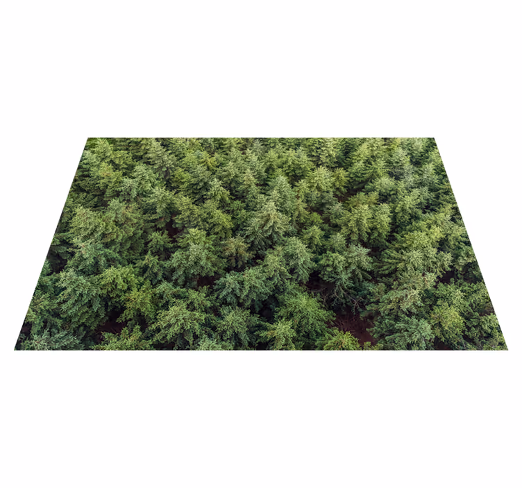 Luftfoto av skogen vinyl teppe natur - Tenstickers