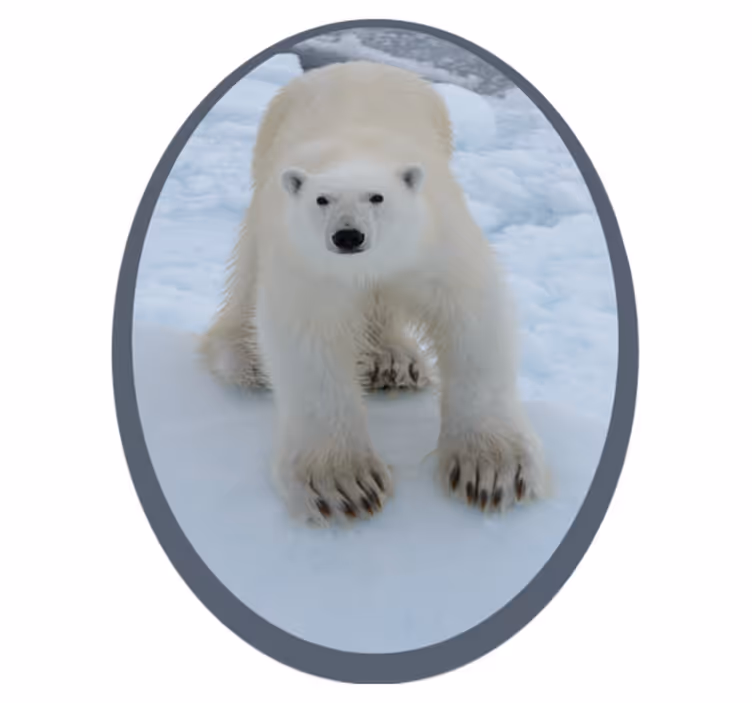Isbjørn i snødyrteppe - Tenstickers