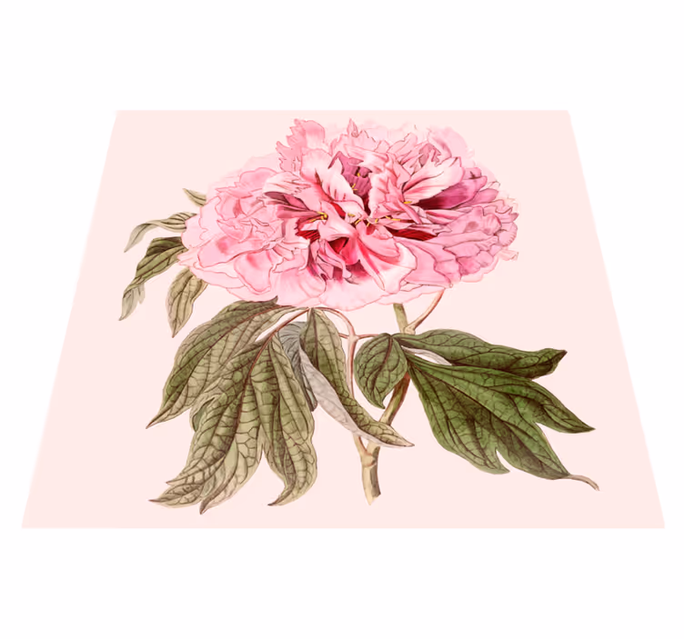 Rosa peonblomst vinyl teppe blomster og planter - Tenstickers