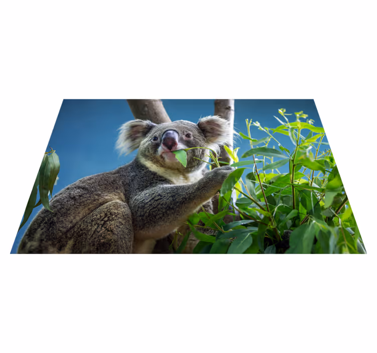 Dyr søt koala bjørn dyre vinyl teppe - Tenstickers