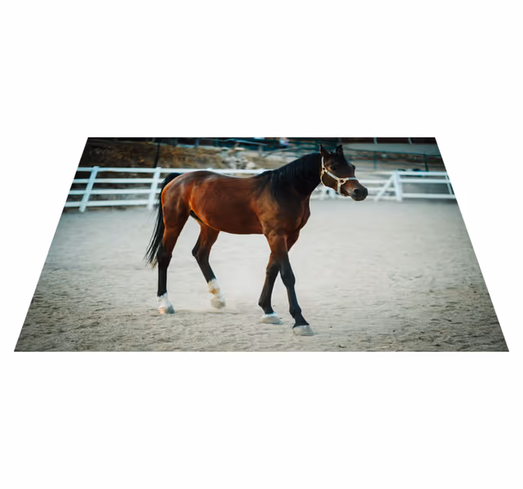 Dyr brun hest vinyl teppe - Tenstickers