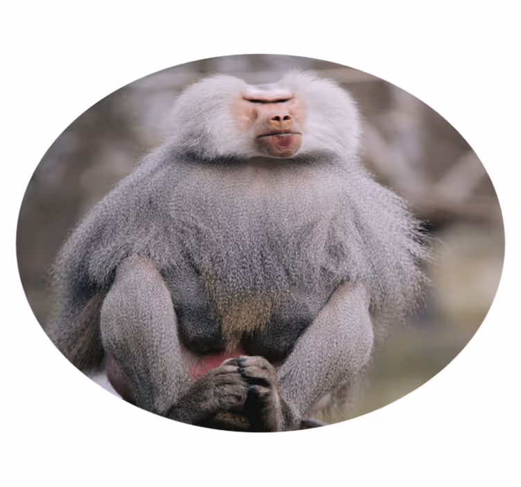 Animal cool ape vinyl teppe - Tenstickers