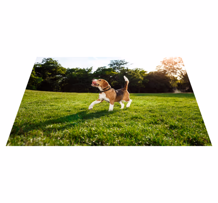 Glad beagle som løper vinyl teppe dyr - Tenstickers