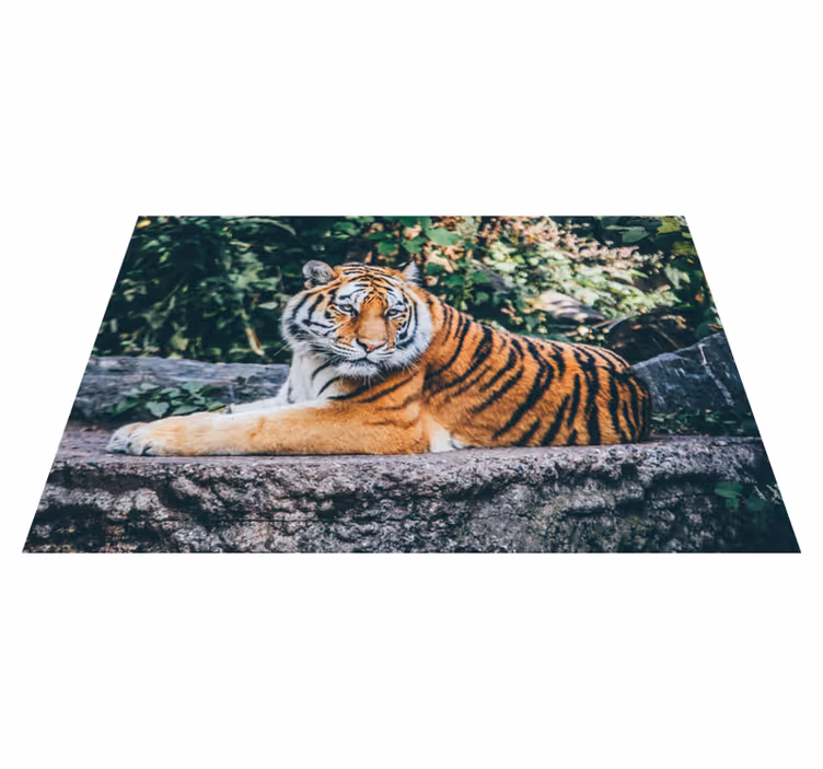 Animal majestetisk tiger vinyl teppe - Tenstickers