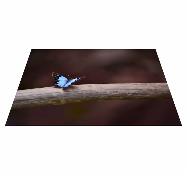 Sommerfugl på gren vinyl teppe natur - Tenstickers