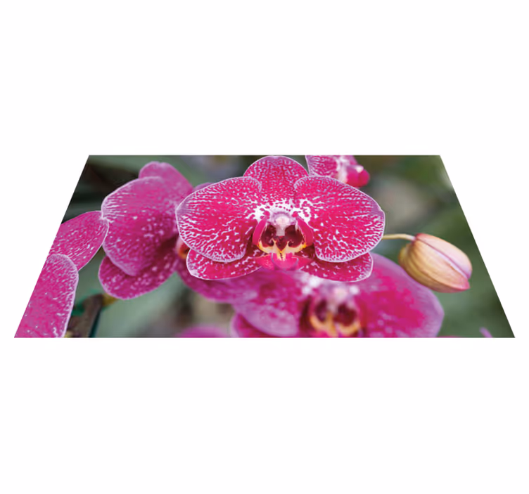 Lilla orkide nærbilde blomsterteppe - Tenstickers
