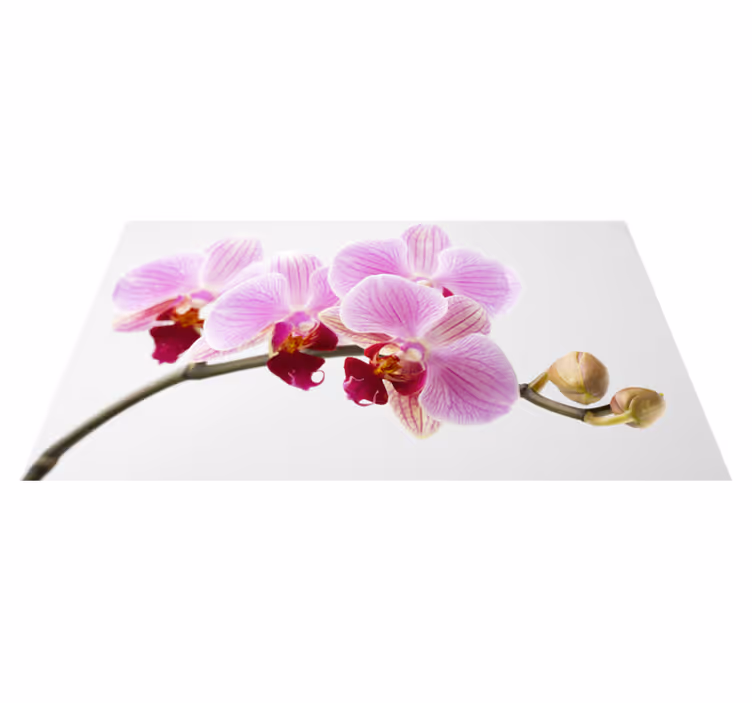 Rosa orkidedesign vinyl teppe blomster og planter - Tenstickers