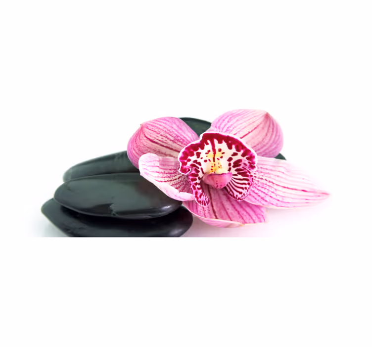 Orkide og steiner vinyl teppe blomster og planter - Tenstickers