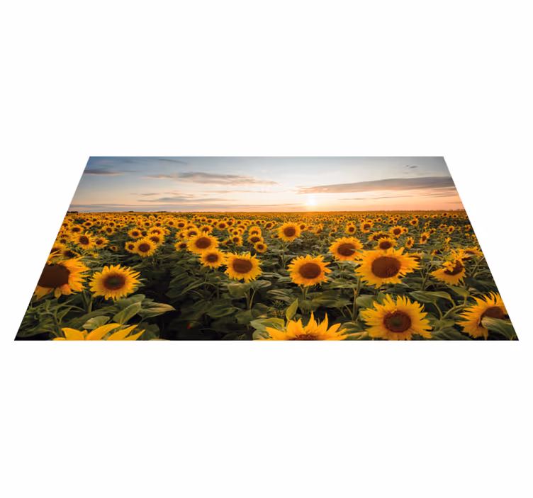 Solblomst soloppgang blomsterteppe - Tenstickers
