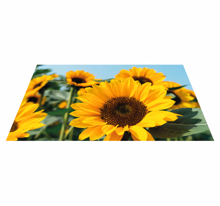 En solblomst nærbilde blomster vinyl teppe - Tenstickers