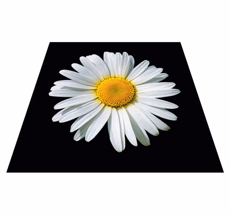 Svart og hvitt tusenfryd blomster blomsterteppe - Tenstickers