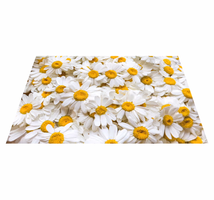 Tusenfryd blomster bilde blomsterteppe - Tenstickers