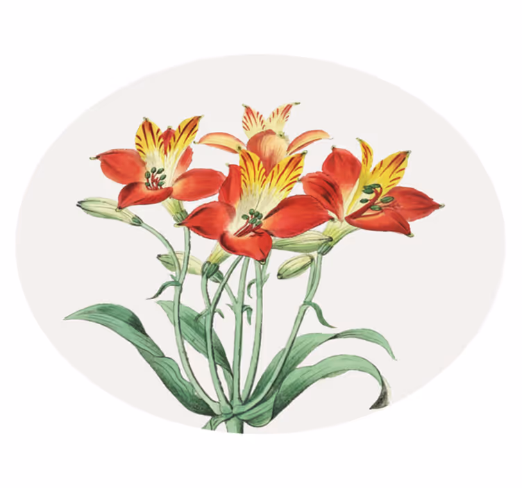 Fargerik lilje sammen blomster vinyl teppe - Tenstickers