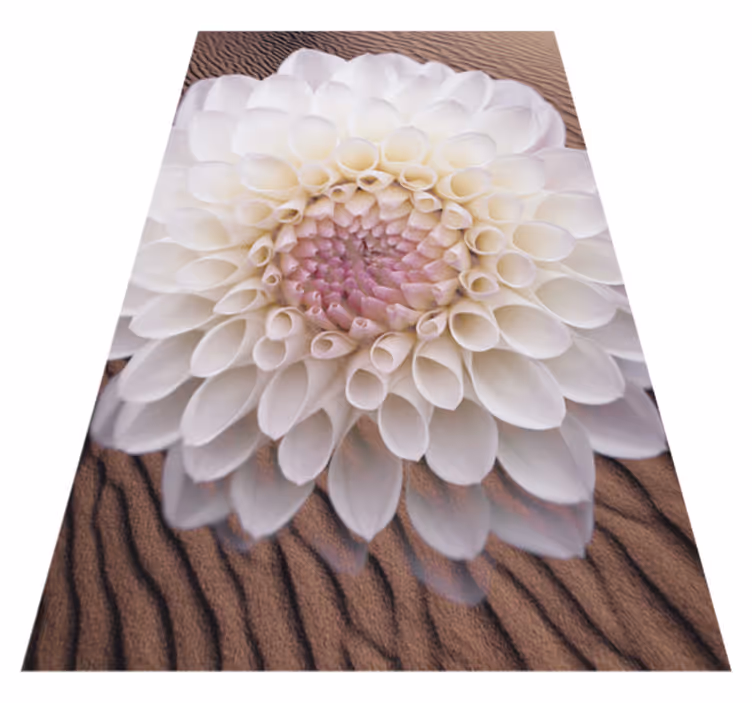 Hvite blomster på sandblomsterteppe - Tenstickers
