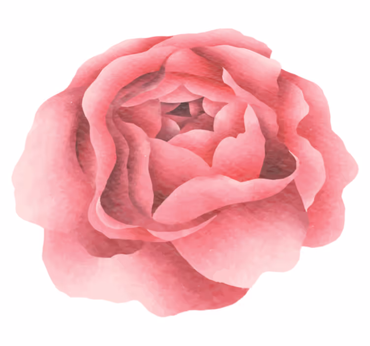 Rød rosa blomst vinyl teppe blomster og planter - Tenstickers