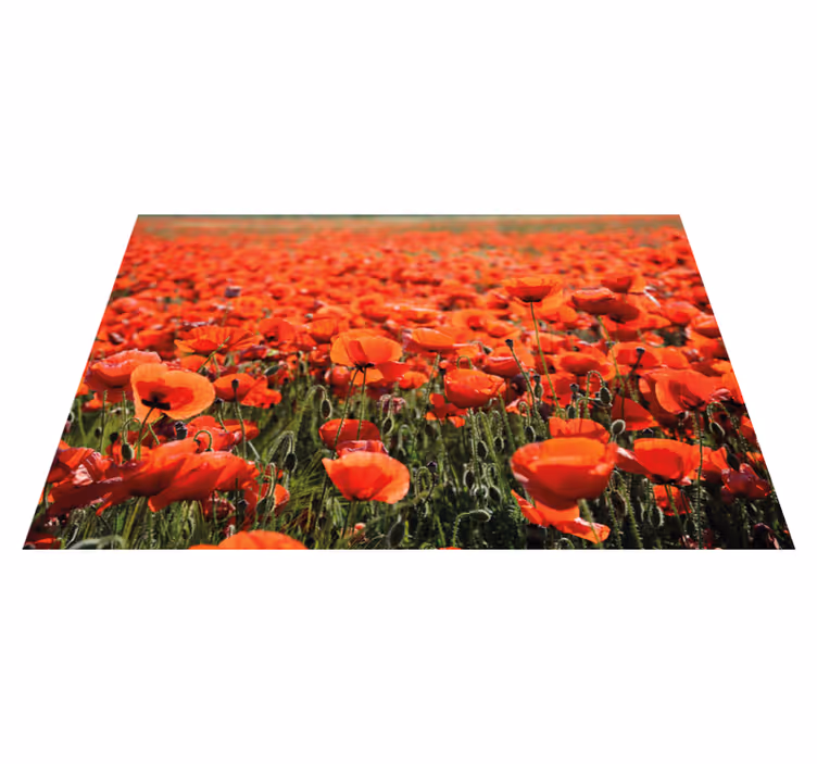 Felt av valmueblomster blomsterteppe - Tenstickers