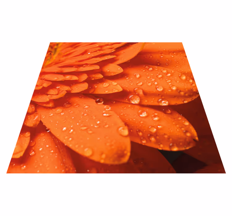Oransje blomst i nærbilde vinyl teppe blomster og planter - Tenstickers