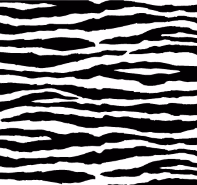 Tapet dyr med zebra striper - Tenstickers