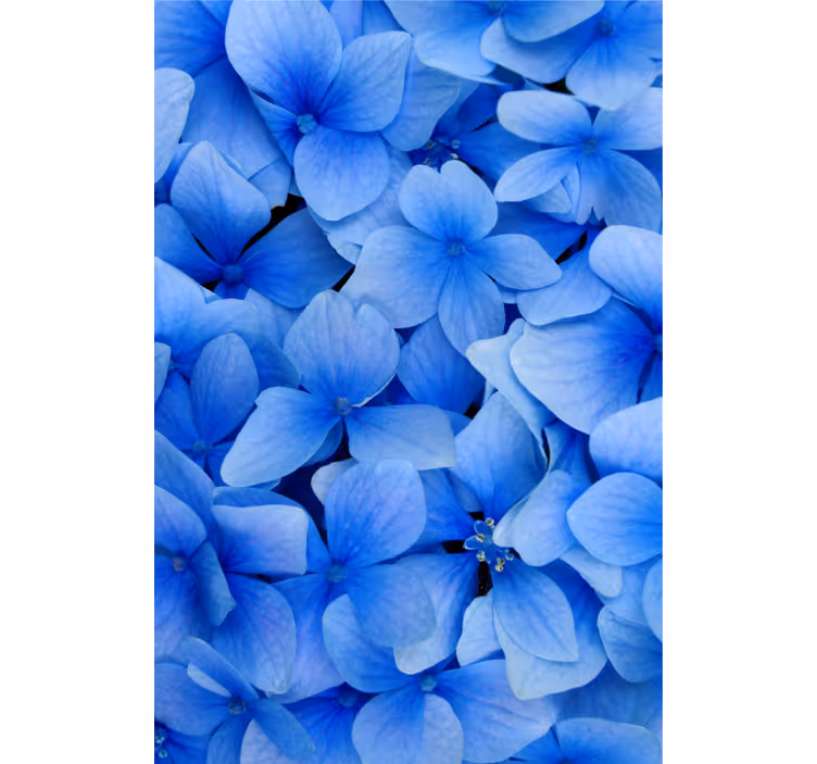 Tapet stue hortensia blad mønster - Tenstickers
