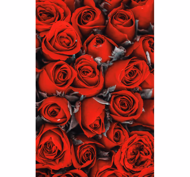 Tapet blomster røde roser romantisk - Tenstickers