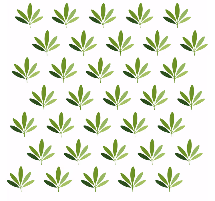 Sweet palm tapet grønne blader - Tenstickers