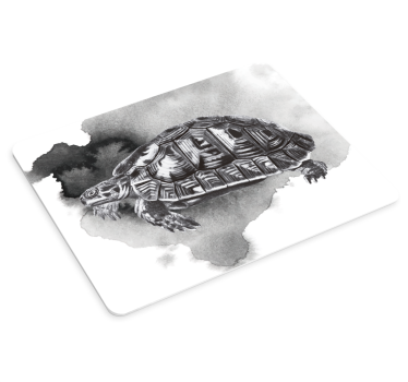 Vintage skilpadde bilde musematte - Tenstickers