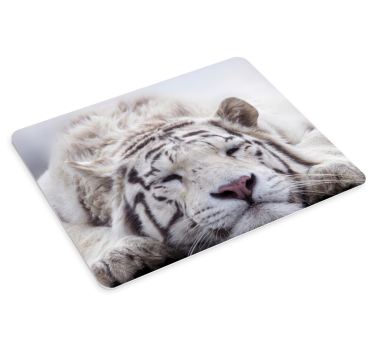 Musematte original hvit tiger hviler - Tenstickers
