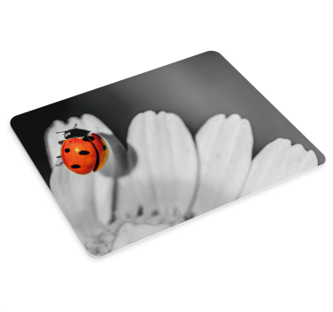 Musematte original marihøne på blomst - Tenstickers
